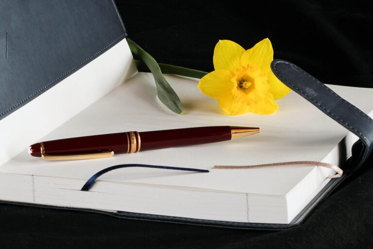 저축과 소비의 균형 가계부 작성법