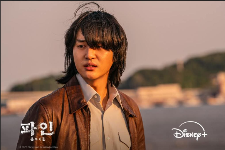 파인 촌뜨기들 드라마 몇부작